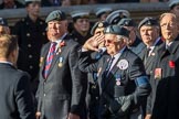 Royal Air Force Mountain Rescue Association (Group C12, 32 members) during the Royal British Legion March Past on Remembrance Sunday at the Cenotaph, Whitehall, Westminster, London, 11 November 2018, 12:16.
