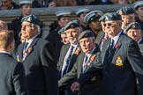 Royal Air Force Mountain Rescue Association (Group C12, 32 members) during the Royal British Legion March Past on Remembrance Sunday at the Cenotaph, Whitehall, Westminster, London, 11 November 2018, 12:16.