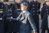 Royal Air Force Mountain Rescue Association (Group C12, 32 members) during the Royal British Legion March Past on Remembrance Sunday at the Cenotaph, Whitehall, Westminster, London, 11 November 2018, 12:16.