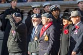Units of the Far East Air Force (Group C13, 18 members) during the Royal British Legion March Past on Remembrance Sunday at the Cenotaph, Whitehall, Westminster, London, 11 November 2018, 12:16.