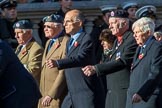 The Blenheim Society (Group C16, 15 members) during the Royal British Legion March Past on Remembrance Sunday at the Cenotaph, Whitehall, Westminster, London, 11 November 2018, 12:17.