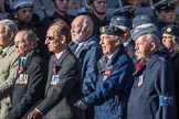 Coastal Command and Maritime Air Association (CCMAA) (Group C18, 21 members) during the Royal British Legion March Past on Remembrance Sunday at the Cenotaph, Whitehall, Westminster, London, 11 November 2018, 12:17