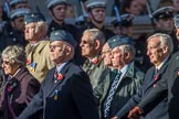 Coastal Command and Maritime Air Association (CCMAA) (Group C18, 21 members) during the Royal British Legion March Past on Remembrance Sunday at the Cenotaph, Whitehall, Westminster, London, 11 November 2018, 12:17