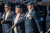 Air Sea Rescue and Marine Craft Section Club (Royal Air Force) (Group C19, 12 members) during the Royal British Legion March Past on Remembrance Sunday at the Cenotaph, Whitehall, Westminster, London, 11 November 2018, 12:17.