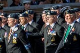 Harrier Force Association (Group C25, 100 members) during the Royal British Legion March Past on Remembrance Sunday at the Cenotaph, Whitehall, Westminster, London, 11 November 2018, 12:18.