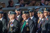 Harrier Force Association (Group C25, 100 members) during the Royal British Legion March Past on Remembrance Sunday at the Cenotaph, Whitehall, Westminster, London, 11 November 2018, 12:18.