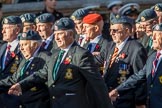 Harrier Force Association (Group C25, 100 members) during the Royal British Legion March Past on Remembrance Sunday at the Cenotaph, Whitehall, Westminster, London, 11 November 2018, 12:18.