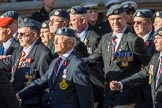 Harrier Force Association (Group C25, 100 members) during the Royal British Legion March Past on Remembrance Sunday at the Cenotaph, Whitehall, Westminster, London, 11 November 2018, 12:18.