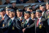 Harrier Force Association (Group C25, 100 members) during the Royal British Legion March Past on Remembrance Sunday at the Cenotaph, Whitehall, Westminster, London, 11 November 2018, 12:18.