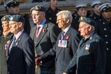 202 Squadron Association (Group C28, 16 members) during the Royal British Legion March Past on Remembrance Sunday at the Cenotaph, Whitehall, Westminster, London, 11 November 2018, 12:19.