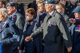84 Squadron Association (Group C29, 15 members) during the Royal British Legion March Past on Remembrance Sunday at the Cenotaph, Whitehall, Westminster, London, 11 November 2018, 12:19.