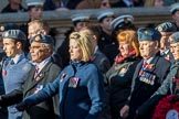 Royal Air Forces Association (Caduceus) branch (Group C31, 22 members) during the Royal British Legion March Past on Remembrance Sunday at the Cenotaph, Whitehall, Westminster, London, 11 November 2018, 12:19.