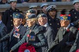 Royal Air Forces Association (Caduceus) branch (Group C31, 22 members) during the Royal British Legion March Past on Remembrance Sunday at the Cenotaph, Whitehall, Westminster, London, 11 November 2018, 12:19.