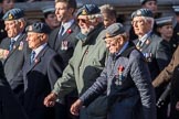 PJI Canopy Club Association (Group C32, 22 members) during the Royal British Legion March Past on Remembrance Sunday at the Cenotaph, Whitehall, Westminster, London, 11 November 2018, 12:19.