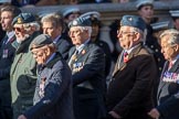 PJI Canopy Club Association (Group C32, 22 members) during the Royal British Legion March Past on Remembrance Sunday at the Cenotaph, Whitehall, Westminster, London, 11 November 2018, 12:19.