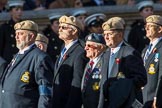 The RAF Masirah & RAF Salalah Veterans Association (Group C35, 20 members) during the Royal British Legion March Past on Remembrance Sunday at the Cenotaph, Whitehall, Westminster, London, 11 November 2018, 12:19.