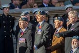 Royal Air Force Servicing Commando and Tactical Supply Wing Association (Group C36, 50 members) during the Royal British Legion March Past on Remembrance Sunday at the Cenotaph, Whitehall, Westminster, London, 11 November 2018, 12:20.