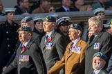 Royal Air Force Servicing Commando and Tactical Supply Wing Association (Group C36, 50 members) during the Royal British Legion March Past on Remembrance Sunday at the Cenotaph, Whitehall, Westminster, London, 11 November 2018, 12:20.