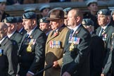 Royal Air Force Servicing Commando and Tactical Supply Wing Association (Group C36, 50 members) during the Royal British Legion March Past on Remembrance Sunday at the Cenotaph, Whitehall, Westminster, London, 11 November 2018, 12:20.