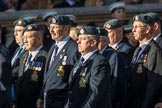 Royal Air Force Servicing Commando and Tactical Supply Wing Association (Group C36, 50 members) during the Royal British Legion March Past on Remembrance Sunday at the Cenotaph, Whitehall, Westminster, London, 11 November 2018, 12:20.