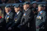 Royal Air Force Servicing Commando and Tactical Supply Wing Association (Group C36, 50 members) during the Royal British Legion March Past on Remembrance Sunday at the Cenotaph, Whitehall, Westminster, London, 11 November 2018, 12:20.