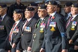 Allied Command in Europe Mobile Force AMF(L) (Group D13, 61 members) during the Royal British Legion March Past on Remembrance Sunday at the Cenotaph, Whitehall, Westminster, London, 11 November 2018, 12:22.