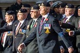 Allied Command in Europe Mobile Force AMF(L) (Group D13, 61 members) during the Royal British Legion March Past on Remembrance Sunday at the Cenotaph, Whitehall, Westminster, London, 11 November 2018, 12:22.