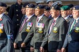 Allied Command in Europe Mobile Force AMF(L) (Group D13, 61 members) during the Royal British Legion March Past on Remembrance Sunday at the Cenotaph, Whitehall, Westminster, London, 11 November 2018, 12:22.