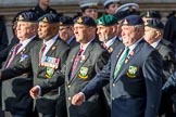 Allied Command in Europe Mobile Force AMF(L) (Group D13, 61 members) during the Royal British Legion March Past on Remembrance Sunday at the Cenotaph, Whitehall, Westminster, London, 11 November 2018, 12:22.
