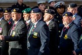 Allied Command in Europe Mobile Force AMF(L) (Group D13, 61 members) during the Royal British Legion March Past on Remembrance Sunday at the Cenotaph, Whitehall, Westminster, London, 11 November 2018, 12:22.