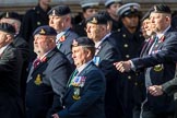 Allied Command in Europe Mobile Force AMF(L) (Group D13, 61 members) during the Royal British Legion March Past on Remembrance Sunday at the Cenotaph, Whitehall, Westminster, London, 11 November 2018, 12:22.