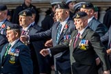 Allied Command in Europe Mobile Force AMF(L) (Group D13, 61 members) during the Royal British Legion March Past on Remembrance Sunday at the Cenotaph, Whitehall, Westminster, London, 11 November 2018, 12:22.