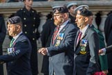 Allied Command in Europe Mobile Force AMF(L) (Group D13, 61 members) during the Royal British Legion March Past on Remembrance Sunday at the Cenotaph, Whitehall, Westminster, London, 11 November 2018, 12:22.
