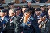 The Royal British Legion (Group D15, 150 members) during the Royal British Legion March Past on Remembrance Sunday at the Cenotaph, Whitehall, Westminster, London, 11 November 2018, 12:22.