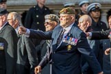 The Royal British Legion (Group D15, 150 members) during the Royal British Legion March Past on Remembrance Sunday at the Cenotaph, Whitehall, Westminster, London, 11 November 2018, 12:22.