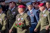 Czechoslovak Legionary (Group D18, 30 members) during the Royal British Legion March Past on Remembrance Sunday at the Cenotaph, Whitehall, Westminster, London, 11 November 2018, 12:23.