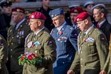 Czechoslovak Legionary (Group D18, 30 members) during the Royal British Legion March Past on Remembrance Sunday at the Cenotaph, Whitehall, Westminster, London, 11 November 2018, 12:23.