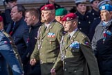 Czechoslovak Legionary (Group D18, 30 members) during the Royal British Legion March Past on Remembrance Sunday at the Cenotaph, Whitehall, Westminster, London, 11 November 2018, 12:23.