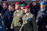 Czechoslovak Legionary (Group D18, 30 members) during the Royal British Legion March Past on Remembrance Sunday at the Cenotaph, Whitehall, Westminster, London, 11 November 2018, 12:23.
