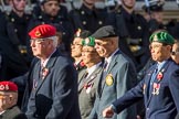 The Hong Kong Ex-Servicemen's Association  (UK Branch) (Group D22, 24 members) during the Royal British Legion March Past on Remembrance Sunday at the Cenotaph, Whitehall, Westminster, London, 11 November 2018, 12:24.