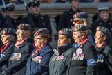 QARANC (Group D23, 49 members) during the Royal British Legion March Past on Remembrance Sunday at the Cenotaph, Whitehall, Westminster, London, 11 November 2018, 12:24.