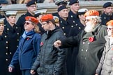 Civil Defence Association  M9, 12 members)  during the Royal British Legion March Past on Remembrance Sunday at the Cenotaph, Whitehall, Westminster, London, 11 November 2018, 12:26.
