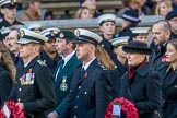 during the Royal British Legion March Past on Remembrance Sunday at the Cenotaph, Whitehall, Westminster, London, 11 November 2018, 12:31.
