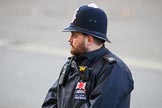Metropolitan Police Constable Mark Tucker keeping an eye on the spectators before the Remembrance Sunday Cenotaph Ceremony 2018 at Horse Guards Parade, Westminster, London, 11 November 2018, 09:04.