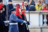 The first group of the Armed Forces arrives on Whitehall before the Remembrance Sunday Cenotaph Ceremony 2018 at Horse Guards Parade, Westminster, London, 11 November 2018, 09:48. They might be the "markers" for their service detachments, followed by stretcher bearers.