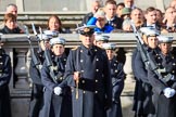 A Lieutenant Commander of the Service detachment from the Royal Navy saluting before the Remembrance Sunday Cenotaph Ceremony 2018 at Horse Guards Parade, Westminster, London, 11 November 2018, 10:23.