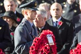 Flight Lieutenant David Rawson, Royal Air Force, Equerry to Prince Michael of Kent, during the Remembrance Sunday Cenotaph Ceremony 2018 at Horse Guards Parade, Westminster, London, 11 November 2018, 10:59.