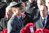 Flight Lieutenant David Rawson, Royal Air Force, Equerry to Prince Michael of Kent, during the Remembrance Sunday Cenotaph Ceremony 2018 at Horse Guards Parade, Westminster, London, 11 November 2018, 10:59.