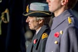 Commander Anne Sullivan, Royal Navy, Equerry to HRH The Princess Royal during the Remembrance Sunday Cenotaph Ceremony 2018 at Horse Guards Parade, Westminster, London, 11 November 2018, 11:17.
