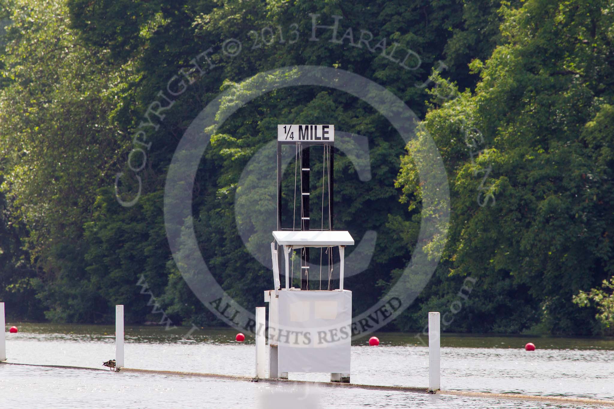 Henley Royal Regatta 2013 (Monday): The 1/3 mile marker, perhaps a slighty lonely place to work during the regatta..
River Thames between Henley and Temple Island,
Henley-on-Thames,
Berkshire,
United Kingdom,
on 01 July 2013 at 15:02, image #26